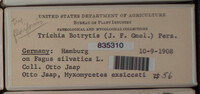 Trichia botrytis var. botrytis image